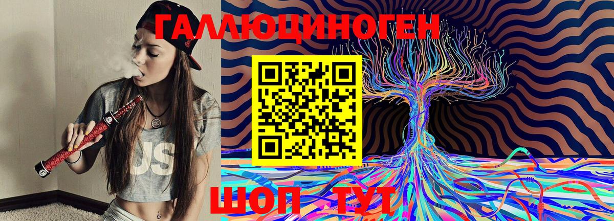Псилоцибиновые грибы мицелий  Вход с VPN  Кемерово 